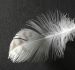 Нека просто да помълчим…
