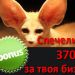 “Опитно зайче” за 3700 лв?! Може и да си ТИ!